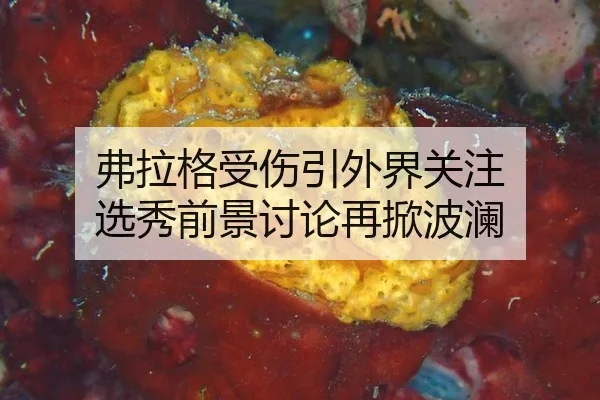 弗拉格受伤引外界关注 选秀前景讨论再掀波澜
